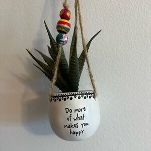 Natural Life hanging plant car accessory